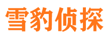 光山市侦探调查公司